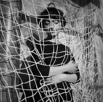 内容创作者合作头像